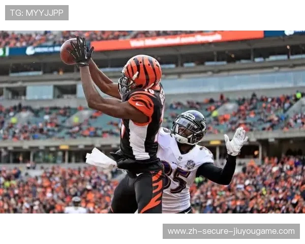 乌鸦攻防全面，球队状态进入巅峰期，乌鸦打法