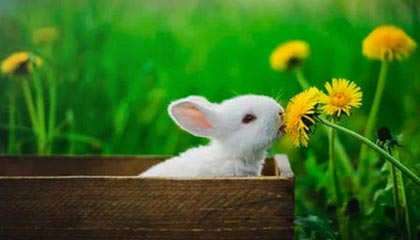 九游娱乐中国-中超联赛中国队战平 球员表现稳健，中超联赛中国队战平 球员表现稳健还是稳定